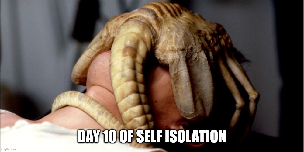 Covid-19 | DAY 10 OF SELF ISOLATION | image tagged in covid-19,coronavirus,self isolation,alien,chestburster | made w/ Imgflip meme maker