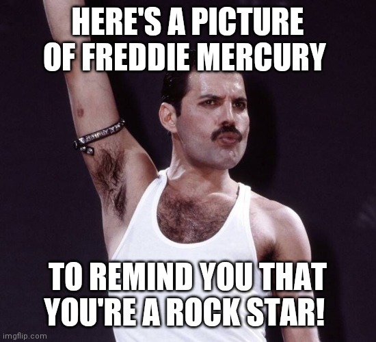 You're A Rock Star | HERE'S A PICTURE OF FREDDIE MERCURY; TO REMIND YOU THAT YOU'RE A ROCK STAR! | image tagged in rock and roll,freddie mercury,feel good | made w/ Imgflip meme maker