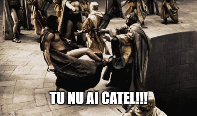madness - this is sparta | TU NU AI CATEL!!! | image tagged in madness - this is sparta | made w/ Imgflip meme maker