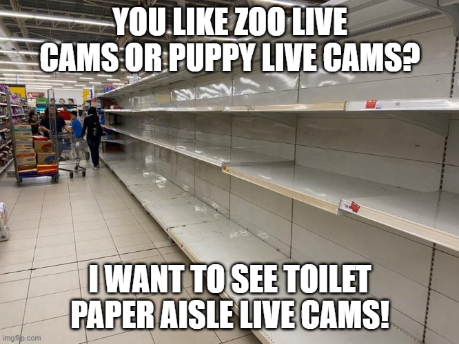 Live Cams | YOU LIKE ZOO LIVE CAMS OR PUPPY LIVE CAMS? I WANT TO SEE TOILET PAPER AISLE LIVE CAMS! | image tagged in live cams | made w/ Imgflip meme maker