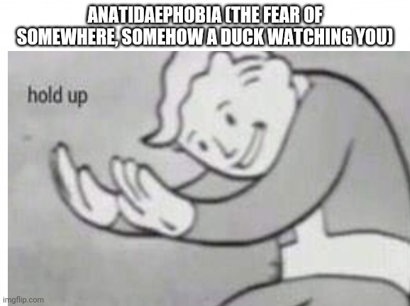 ANATIDAEPHOBIA (THE FEAR OF SOMEWHERE, SOMEHOW A DUCK WATCHING YOU) | image tagged in fallout hold up | made w/ Imgflip meme maker