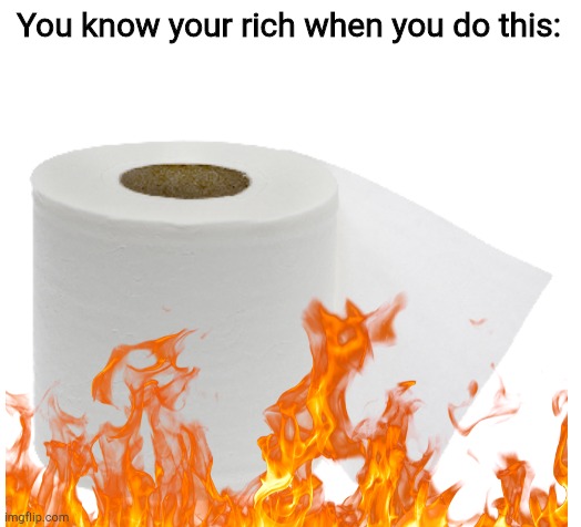 You know your rich when you do this: | image tagged in toilet paper | made w/ Imgflip meme maker