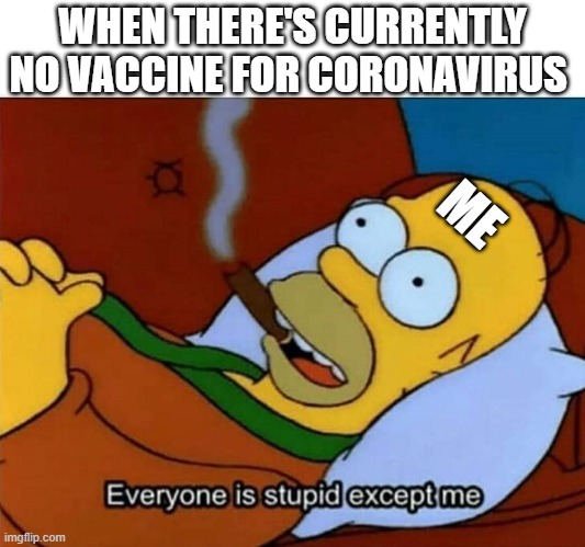 Everyone is stupid except me | WHEN THERE'S CURRENTLY NO VACCINE FOR CORONAVIRUS; ME | image tagged in everyone is stupid except me | made w/ Imgflip meme maker