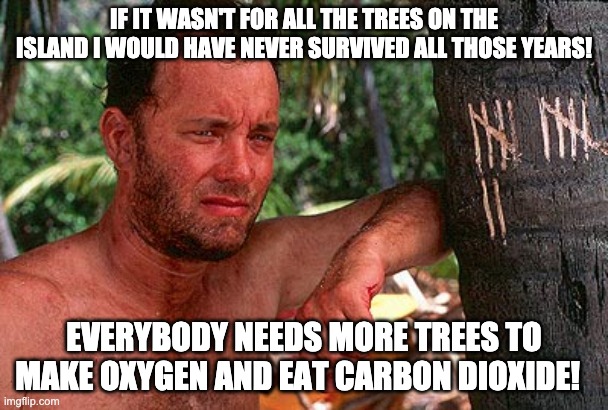 Tom Hanks Castaway tree | IF IT WASN'T FOR ALL THE TREES ON THE ISLAND I WOULD HAVE NEVER SURVIVED ALL THOSE YEARS! EVERYBODY NEEDS MORE TREES TO MAKE OXYGEN AND EAT CARBON DIOXIDE! | image tagged in tom hanks castaway tree | made w/ Imgflip meme maker