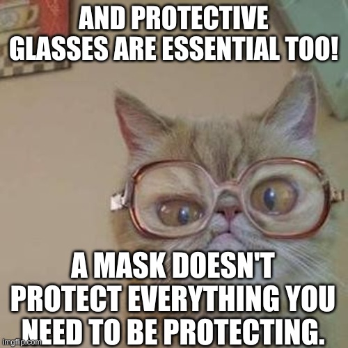 Funny Cat with Glasses | AND PROTECTIVE GLASSES ARE ESSENTIAL TOO! A MASK DOESN'T PROTECT EVERYTHING YOU NEED TO BE PROTECTING. | image tagged in funny cat with glasses | made w/ Imgflip meme maker