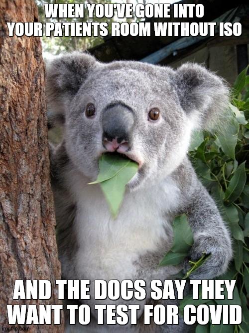 Surprised Koala | WHEN YOU'VE GONE INTO YOUR PATIENTS ROOM WITHOUT ISO; AND THE DOCS SAY THEY WANT TO TEST FOR COVID | image tagged in memes,surprised koala | made w/ Imgflip meme maker