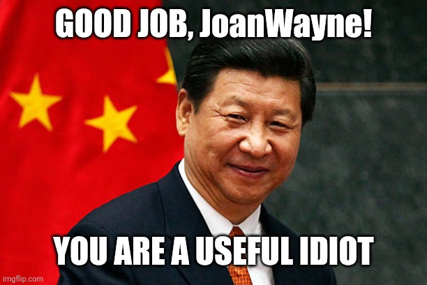 Xi Jinping | GOOD JOB, JoanWayne! YOU ARE A USEFUL IDIOT | image tagged in xi jinping | made w/ Imgflip meme maker
