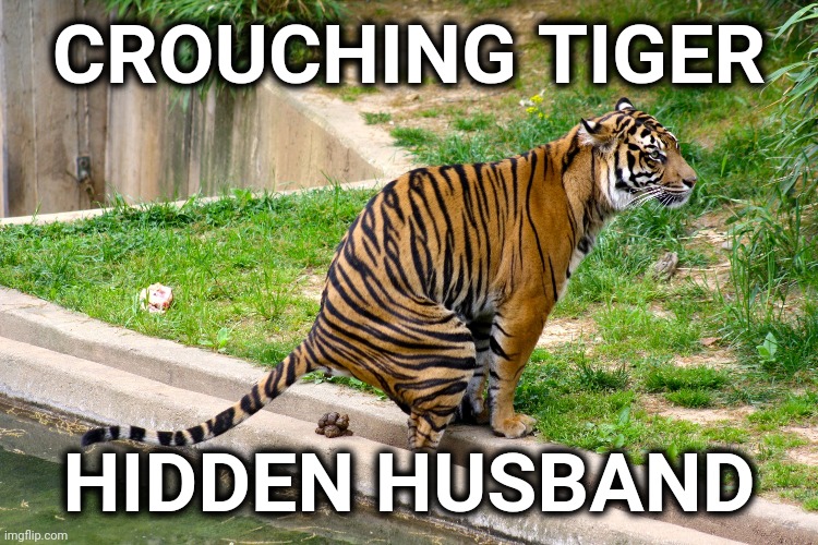 tiger poop |  CROUCHING TIGER; HIDDEN HUSBAND | image tagged in tiger poop | made w/ Imgflip meme maker