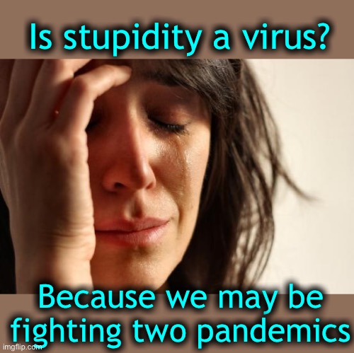 I know that it’s gotta be contagious | Is stupidity a virus? Because we may be fighting two pandemics | image tagged in some people will believe anything,red herrings for all | made w/ Imgflip meme maker