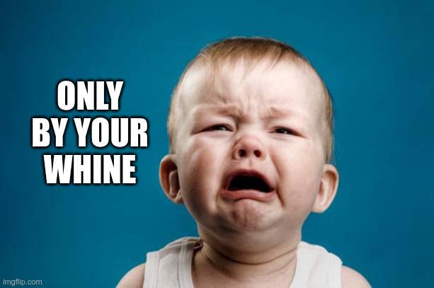 BABY CRYING | ONLY BY YOUR WHINE | image tagged in baby crying | made w/ Imgflip meme maker