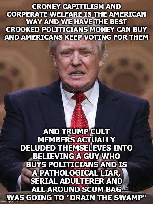 Donald Trump | CRONEY CAPITILISM AND CORPERATE WELFARE IS THE AMERICAN WAY AND WE HAVE THE BEST CROOKED POLITICIANS MONEY CAN BUY AND AMERICANS KEEP VOTING FOR THEM; AND TRUMP CULT MEMBERS ACTUALLY DELUDED THEMSELEVES INTO BELIEVING A GUY WHO BUYS POLITICIANS AND IS A PATHOLOGICAL LIAR, SERIAL ADULTERER AND ALL AROUND SCUM BAG WAS GOING TO "DRAIN THE SWAMP" | image tagged in donald trump | made w/ Imgflip meme maker