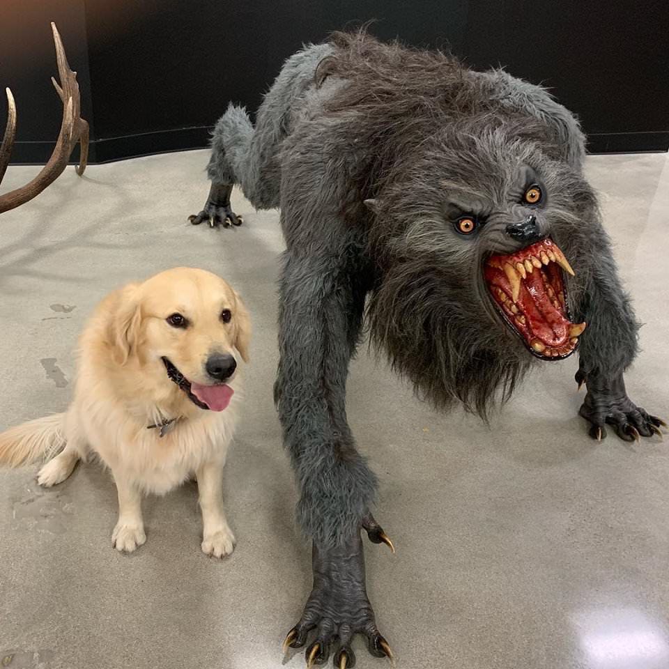 High Quality Retriever And Monster Blank Meme Template