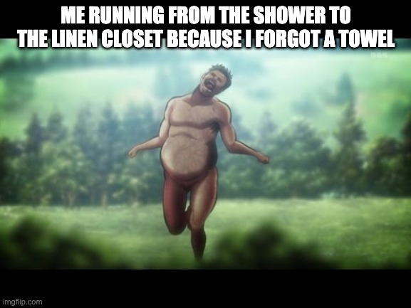 Forgotten towel. | ME RUNNING FROM THE SHOWER TO THE LINEN CLOSET BECAUSE I FORGOT A TOWEL | image tagged in towel,forgot,running,shower | made w/ Imgflip meme maker