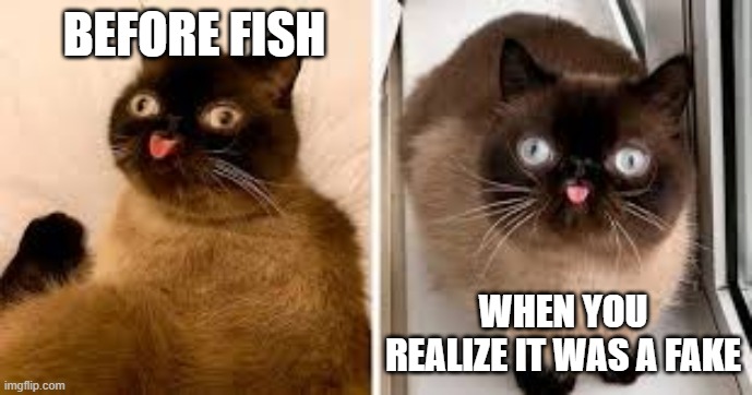 KITTY FISH | BEFORE FISH; WHEN YOU REALIZE IT WAS A FAKE | image tagged in kitty cat | made w/ Imgflip meme maker