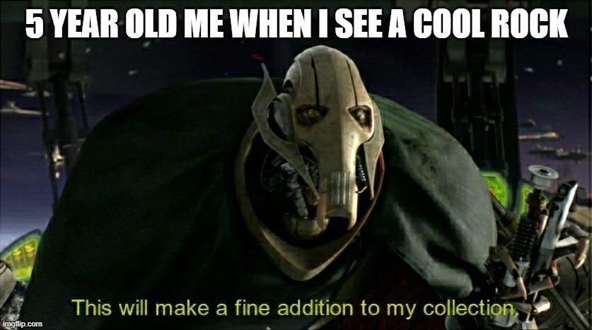 This will make a fine addition to my collection | 5 YEAR OLD ME WHEN I SEE A COOL ROCK | image tagged in this will make a fine addition to my collection | made w/ Imgflip meme maker