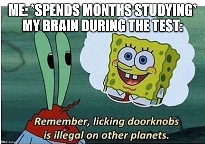 Remember, the most important thing is that you dont lick any doorknobs | ME: *SPENDS MONTHS STUDYING*
MY BRAIN DURING THE TEST: | image tagged in test,spongebob,mr crabs,licking,door | made w/ Imgflip meme maker