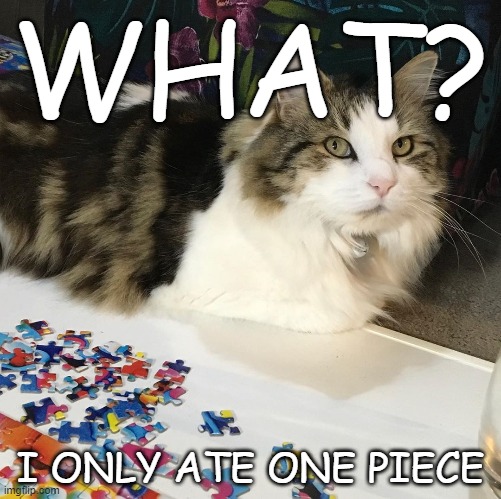 Cat steals puzzle piece | WHAT? I ONLY ATE ONE PIECE | image tagged in cat,kitty,kitten,puzzles,cat puzzles,puzzle cats | made w/ Imgflip meme maker