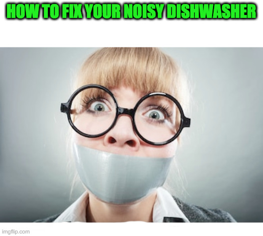 Silence is Golden, But Duct Tape is Silver. |  HOW TO FIX YOUR NOISY DISHWASHER | image tagged in girl,talking,washing,funny,duck,tare | made w/ Imgflip meme maker