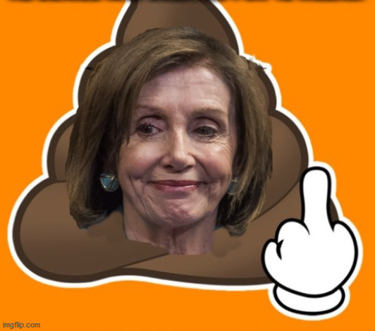 Queen Nancy | image tagged in queen nancy | made w/ Imgflip meme maker