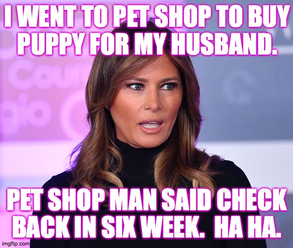 I think stand-up could be a real gig for her. | I WENT TO PET SHOP TO BUY
PUPPY FOR MY HUSBAND. PET SHOP MAN SAID CHECK BACK IN SIX WEEK.  HA HA. | image tagged in memes,melania,stand-up | made w/ Imgflip meme maker