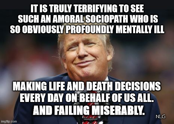 trump failing miserably | IT IS TRULY TERRIFYING TO SEE
 SUCH AN AMORAL SOCIOPATH WHO IS SO OBVIOUSLY PROFOUNDLY MENTALLY ILL; MAKING LIFE AND DEATH DECISIONS EVERY DAY ON BEHALF OF US ALL. AND FAILING MISERABLY. NLG | image tagged in politics,political meme,political | made w/ Imgflip meme maker