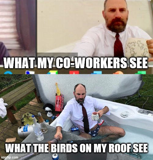 work from home | WHAT MY CO-WORKERS SEE; WHAT THE BIRDS ON MY ROOF SEE | image tagged in hot tub,zoom,work,drinking | made w/ Imgflip meme maker