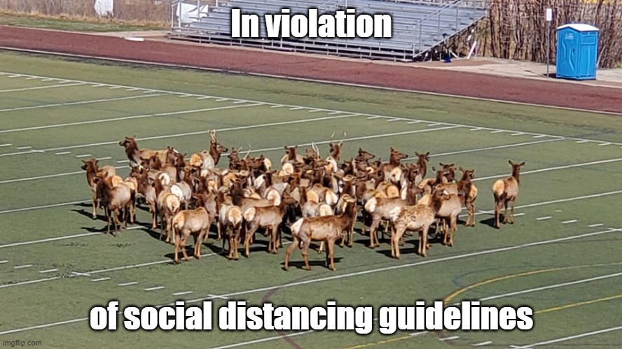 And no face masks! | In violation; of social distancing guidelines | image tagged in social distancing | made w/ Imgflip meme maker