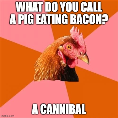 Anti Joke Chicken | WHAT DO YOU CALL A PIG EATING BACON? A CANNIBAL | image tagged in memes,anti joke chicken | made w/ Imgflip meme maker