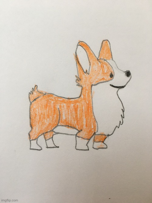 What do you think of my drawing? | image tagged in drawing,corgi | made w/ Imgflip meme maker