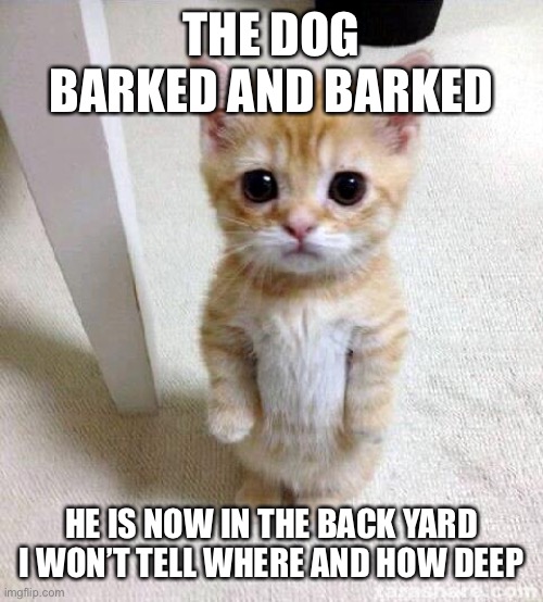 Evil cat | THE DOG BARKED AND BARKED; HE IS NOW IN THE BACK YARD I WON’T TELL WHERE AND HOW DEEP | image tagged in memes,cute cat | made w/ Imgflip meme maker