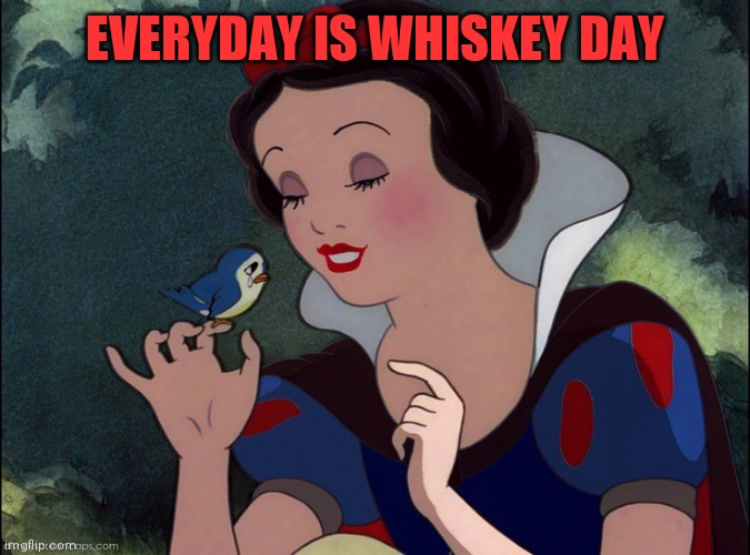 EVERYDAY IS WHISKEY DAY | made w/ Imgflip meme maker