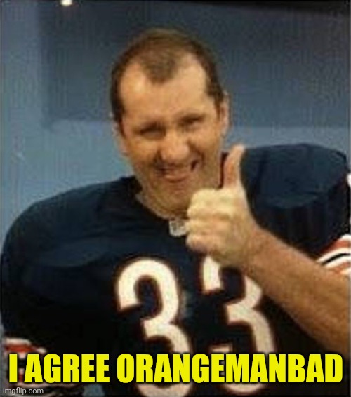 Al Bundy Thumbs Up | I AGREE ORANGEMANBAD | image tagged in al bundy thumbs up | made w/ Imgflip meme maker