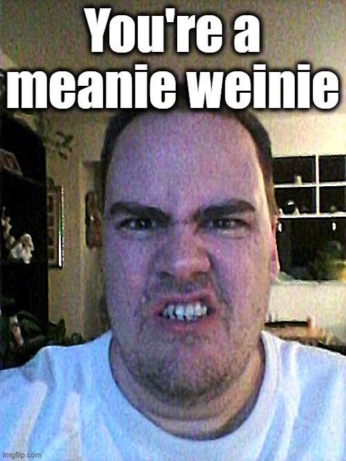 Grrr | You're a meanie weinie | image tagged in grrr | made w/ Imgflip meme maker