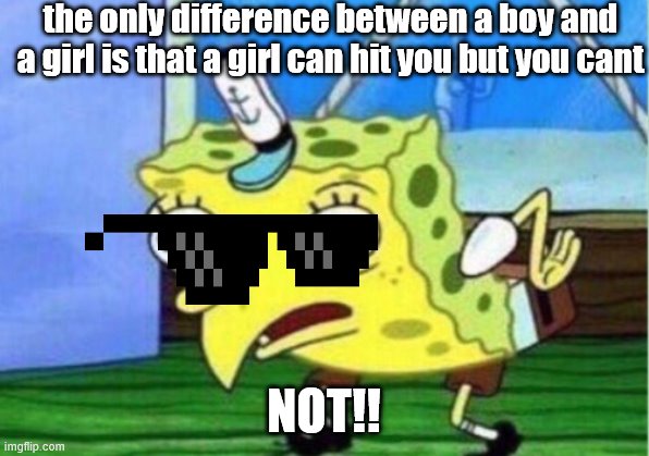 Mocking Spongebob Meme | the only difference between a boy and a girl is that a girl can hit you but you cant; NOT!! | image tagged in memes,mocking spongebob | made w/ Imgflip meme maker