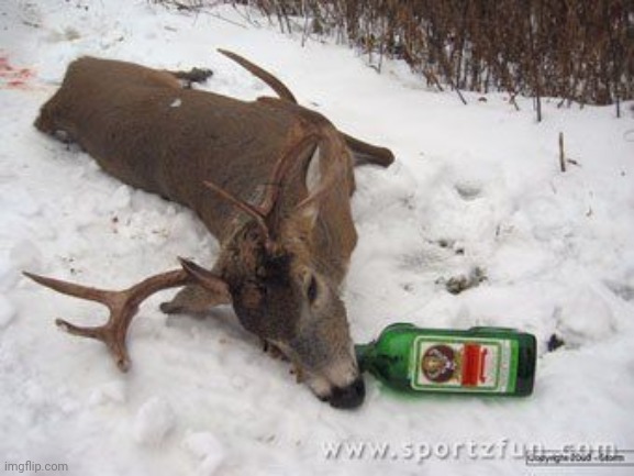 Drunk deer | image tagged in drunk deer | made w/ Imgflip meme maker