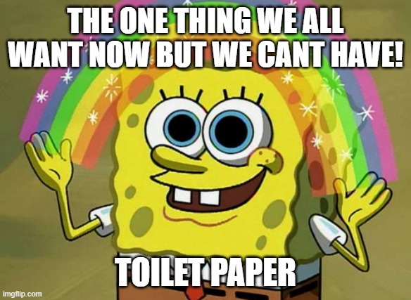 Imagination Spongebob Meme | THE ONE THING WE ALL WANT NOW BUT WE CANT HAVE! TOILET PAPER | image tagged in memes,imagination spongebob | made w/ Imgflip meme maker