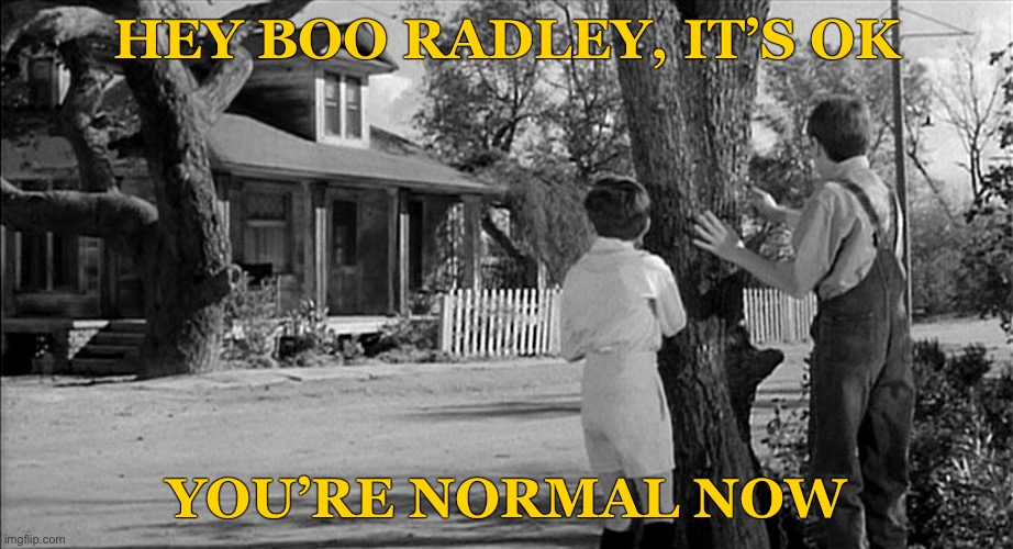 Boo Radley it’s OK you’re normal now | HEY BOO RADLEY, IT’S OK; YOU’RE NORMAL NOW | image tagged in boo radley,coronavirus,covid-19,virus,self-isolating,isolate | made w/ Imgflip meme maker
