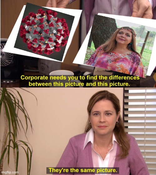 They're The Same Picture | image tagged in memes,they're the same picture | made w/ Imgflip meme maker