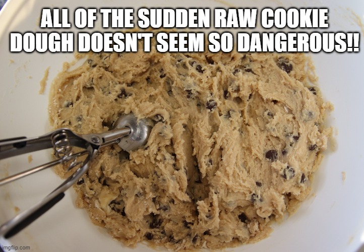 Cookie Dough | ALL OF THE SUDDEN RAW COOKIE DOUGH DOESN'T SEEM SO DANGEROUS!! | image tagged in cookie dough | made w/ Imgflip meme maker