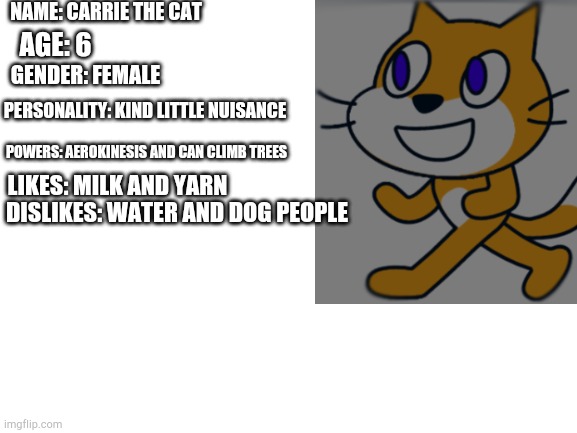 The bio of my latest OC | NAME: CARRIE THE CAT; AGE: 6; GENDER: FEMALE; PERSONALITY: KIND LITTLE NUISANCE; POWERS: AEROKINESIS AND CAN CLIMB TREES; LIKES: MILK AND YARN; DISLIKES: WATER AND DOG PEOPLE | image tagged in blank white template | made w/ Imgflip meme maker