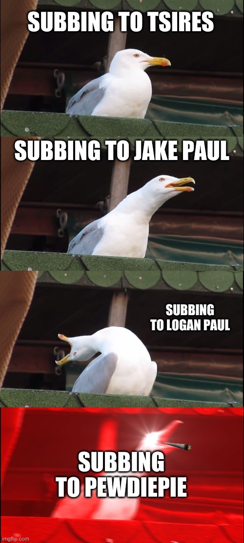Inhaling Seagull | SUBBING TO TSIRES; SUBBING TO JAKE PAUL; SUBBING TO LOGAN PAUL; SUBBING TO PEWDIEPIE | image tagged in memes,inhaling seagull | made w/ Imgflip meme maker