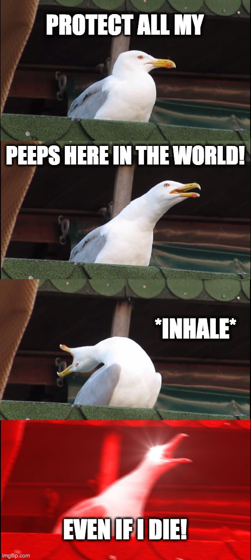 Inhaling Seagull Meme |  PROTECT ALL MY; PEEPS HERE IN THE WORLD! *INHALE*; EVEN IF I DIE! | image tagged in memes,inhaling seagull | made w/ Imgflip meme maker