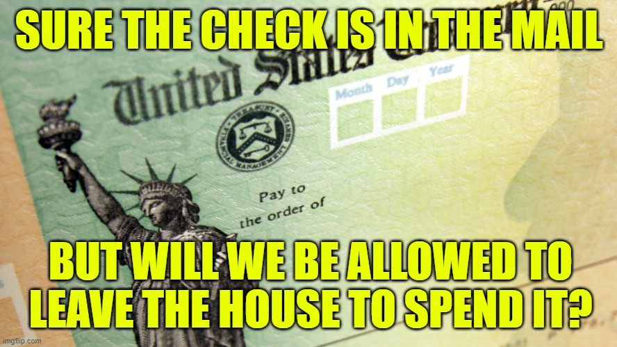 Stimulus Check |  SURE THE CHECK IS IN THE MAIL; BUT WILL WE BE ALLOWED TO LEAVE THE HOUSE TO SPEND IT? | image tagged in stimulus check,government check,the check is in the mail,coronavirus,covid | made w/ Imgflip meme maker