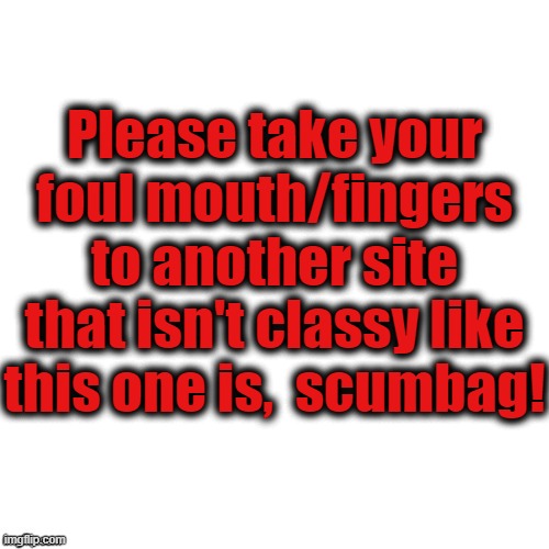 Blank | Please take your foul mouth/fingers to another site that isn't classy like this one is,  scumbag! | image tagged in blank | made w/ Imgflip meme maker