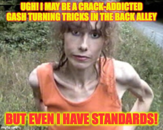 crack whore | UGH! I MAY BE A CRACK-ADDICTED GASH TURNING TRICKS IN THE BACK ALLEY BUT EVEN I HAVE STANDARDS! | image tagged in crack whore | made w/ Imgflip meme maker