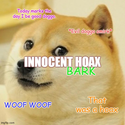 Doge | Today marks the day I be good doggo. *Evil doggo smirk*; INNOCENT HOAX; BARK; That was a hoax; WOOF WOOF | image tagged in memes,doge | made w/ Imgflip meme maker