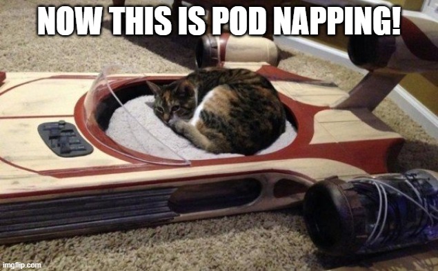 NOW THIS IS POD NAPPING! | made w/ Imgflip meme maker