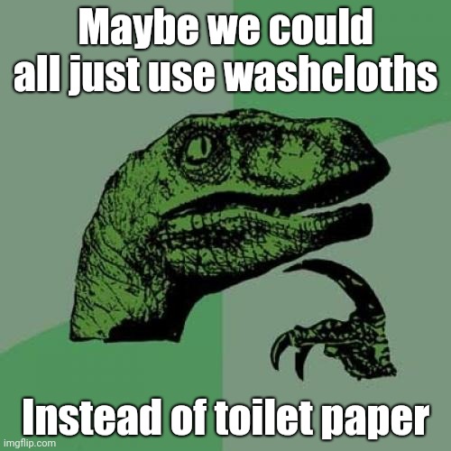 Philosoraptor Meme | Maybe we could all just use washcloths; Instead of toilet paper | image tagged in memes,philosoraptor | made w/ Imgflip meme maker