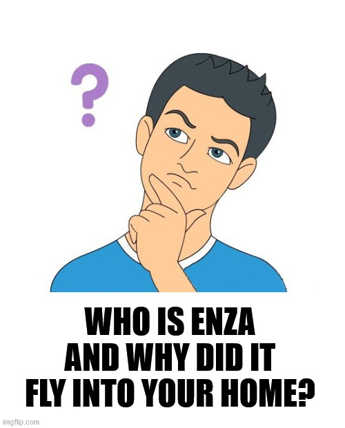 thinking man | WHO IS ENZA AND WHY DID IT FLY INTO YOUR HOME? | image tagged in thinking man | made w/ Imgflip meme maker