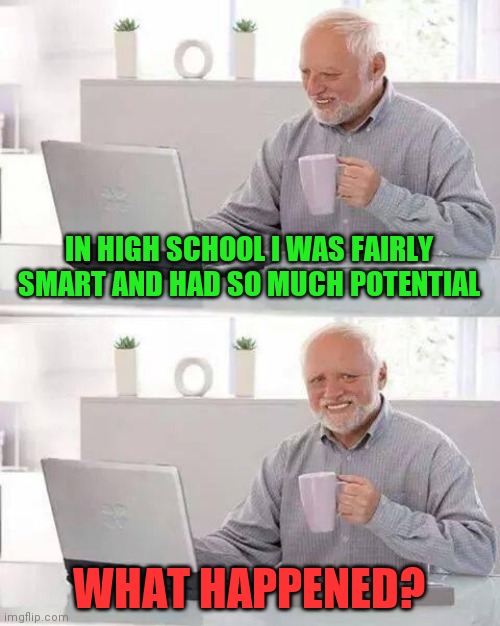 I didnt party, do drugs, or any of the other usual bad behaviors | IN HIGH SCHOOL I WAS FAIRLY SMART AND HAD SO MUCH POTENTIAL; WHAT HAPPENED? | image tagged in memes,hide the pain harold | made w/ Imgflip meme maker